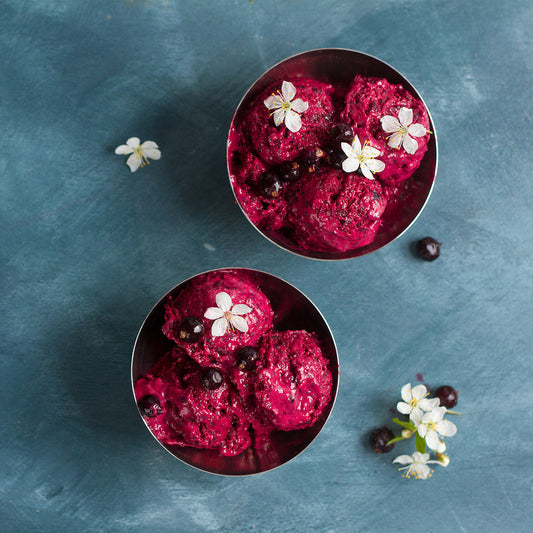 Blueberry Yogurt Sorbet
